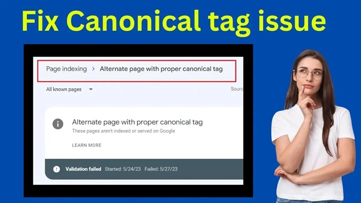 Alternate page with proper canonical tag in Blogger
